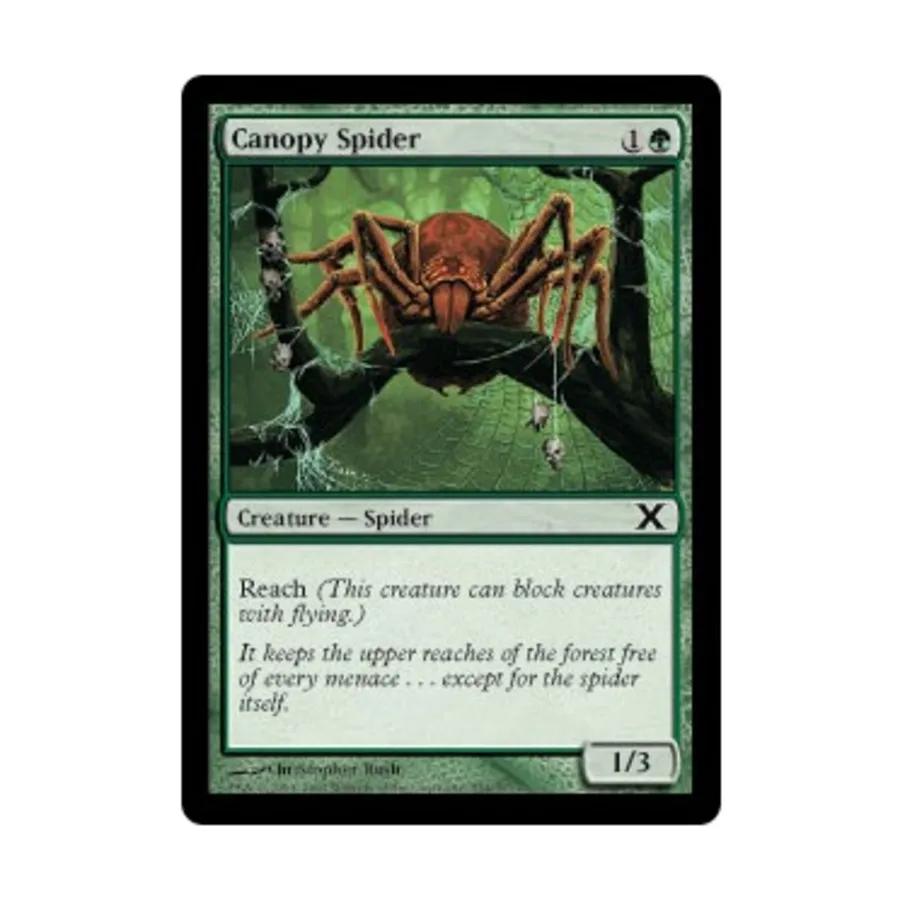 CCG Капюшонный паук (С), MTG - 10th Edition
CCG Капюшонный паук (С), MTG - 10th Edition