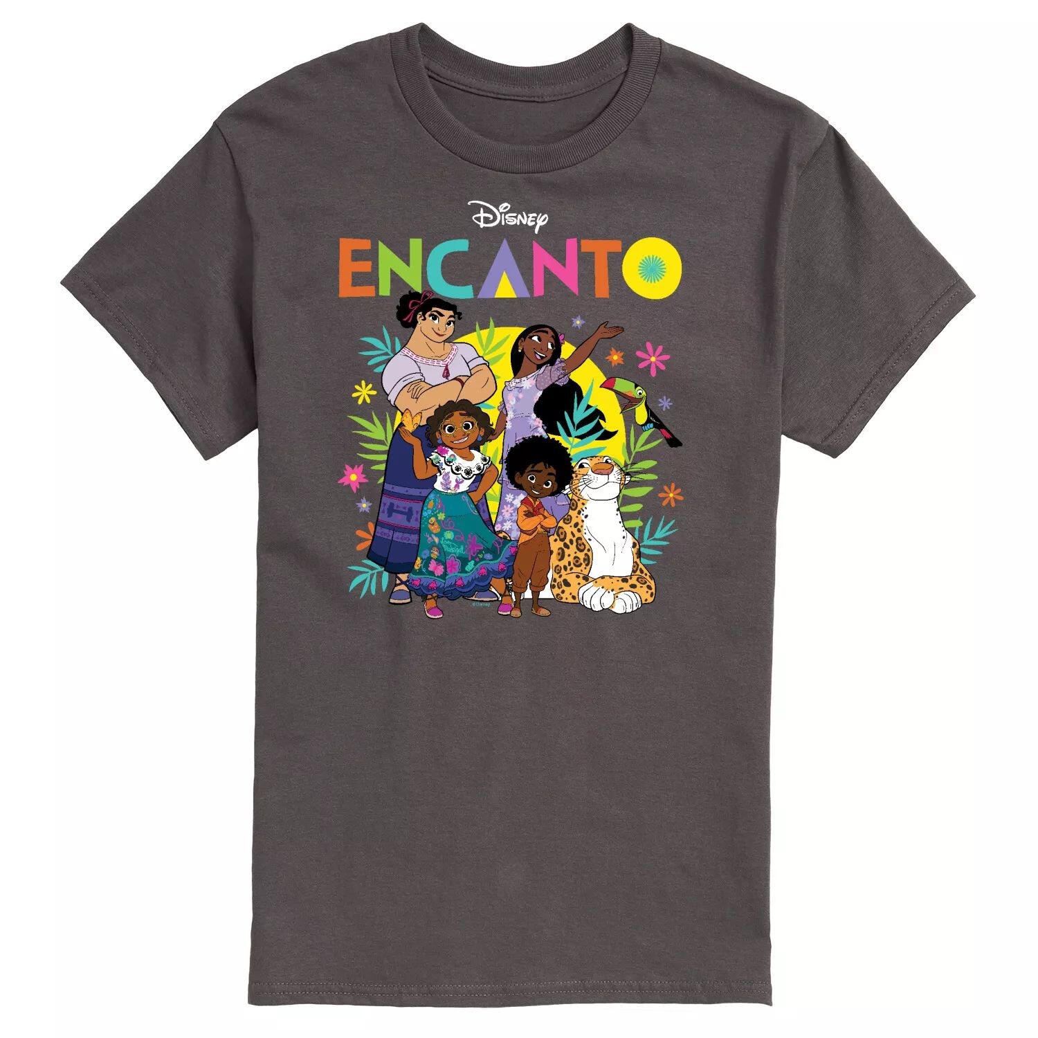 Мужская футболка с рисунком Disney's Encanto Group Licensed Character
Мужская футболка с рисунком Disney's Encanto Group Licensed Character
