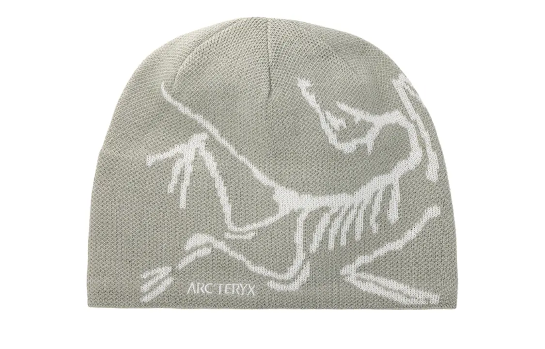 Унисекс серая шапка-бини Arcteryx
Унисекс серая шапка-бини Arcteryx