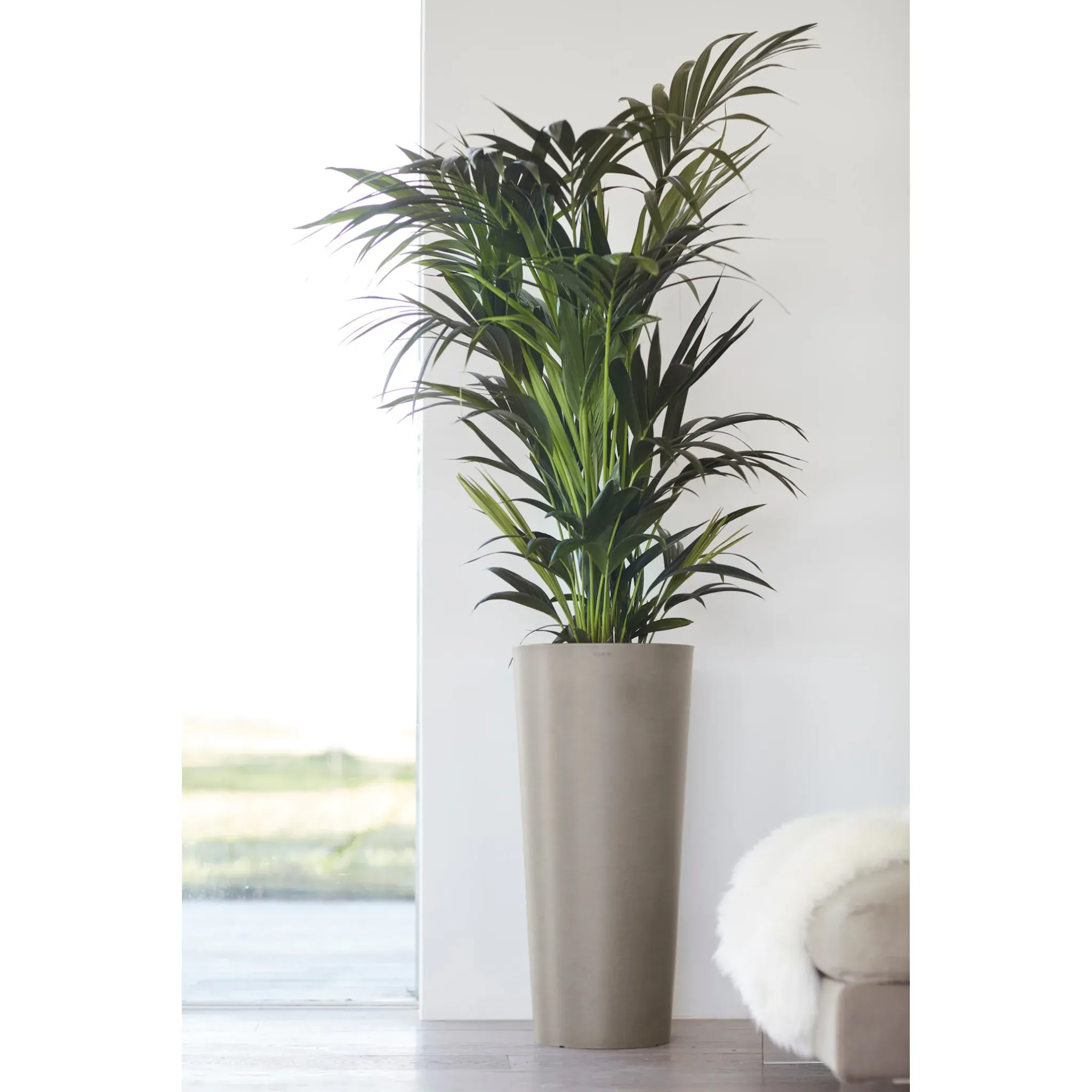 Цветочный горшок ECOPOTS «Амстердам», ØxВ: 32x70 см, цвет braungrau
Цветочный горшок ECOPOTS «Амстердам», ØxВ: 32x70 см, цвет braungrau