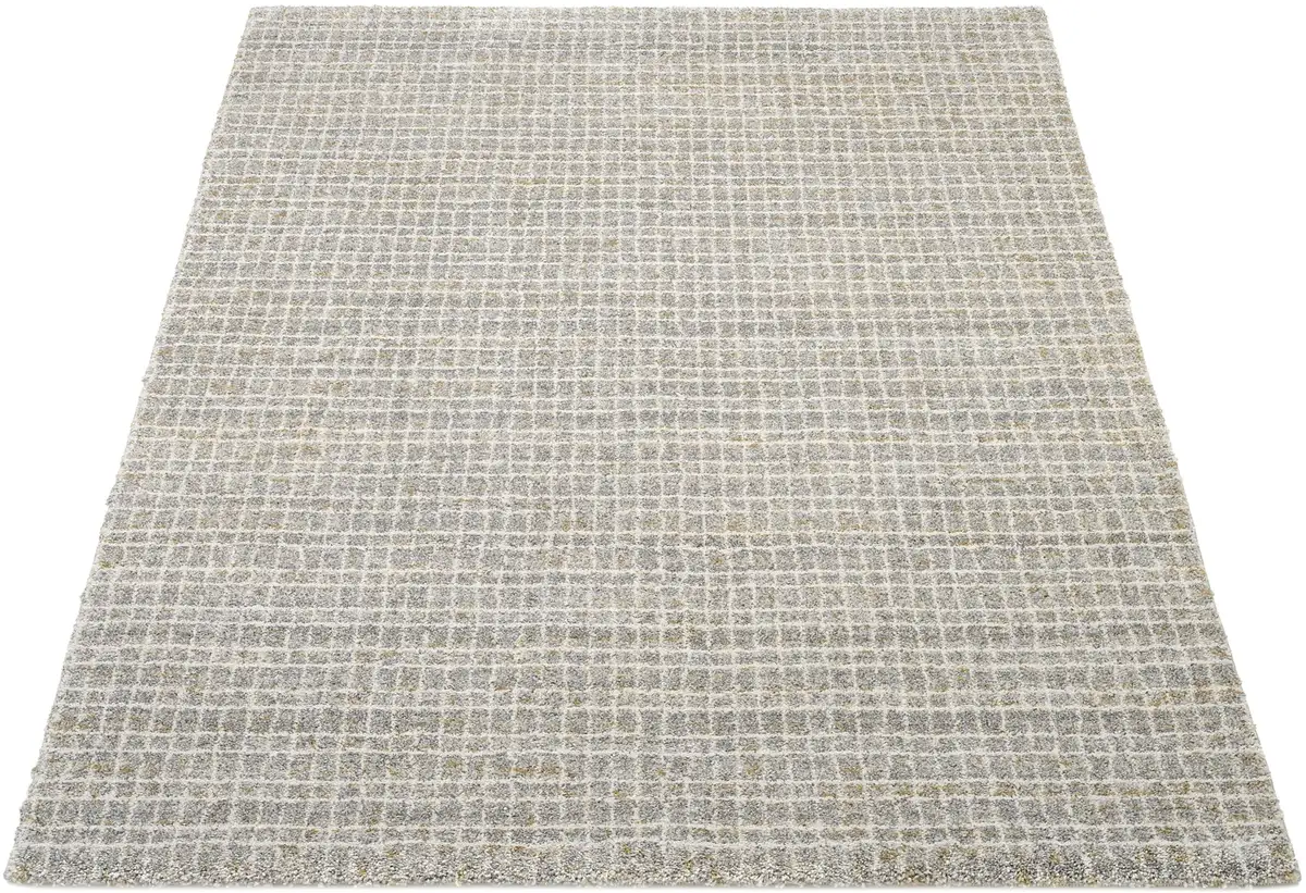 OCI THE CARPET BRAND "NEW VILLA GEO" ковер, квадратный, в мелкую клетку, для гостиной OCI Die Teppichmarke 200х200 см, серый/кремовый
OCI THE CARPET BRAND "NEW VILLA GEO" ковер, квадратный, в мелкую клетку, для гостиной OCI Die Teppichmarke 200х200 см, серый/кремовый