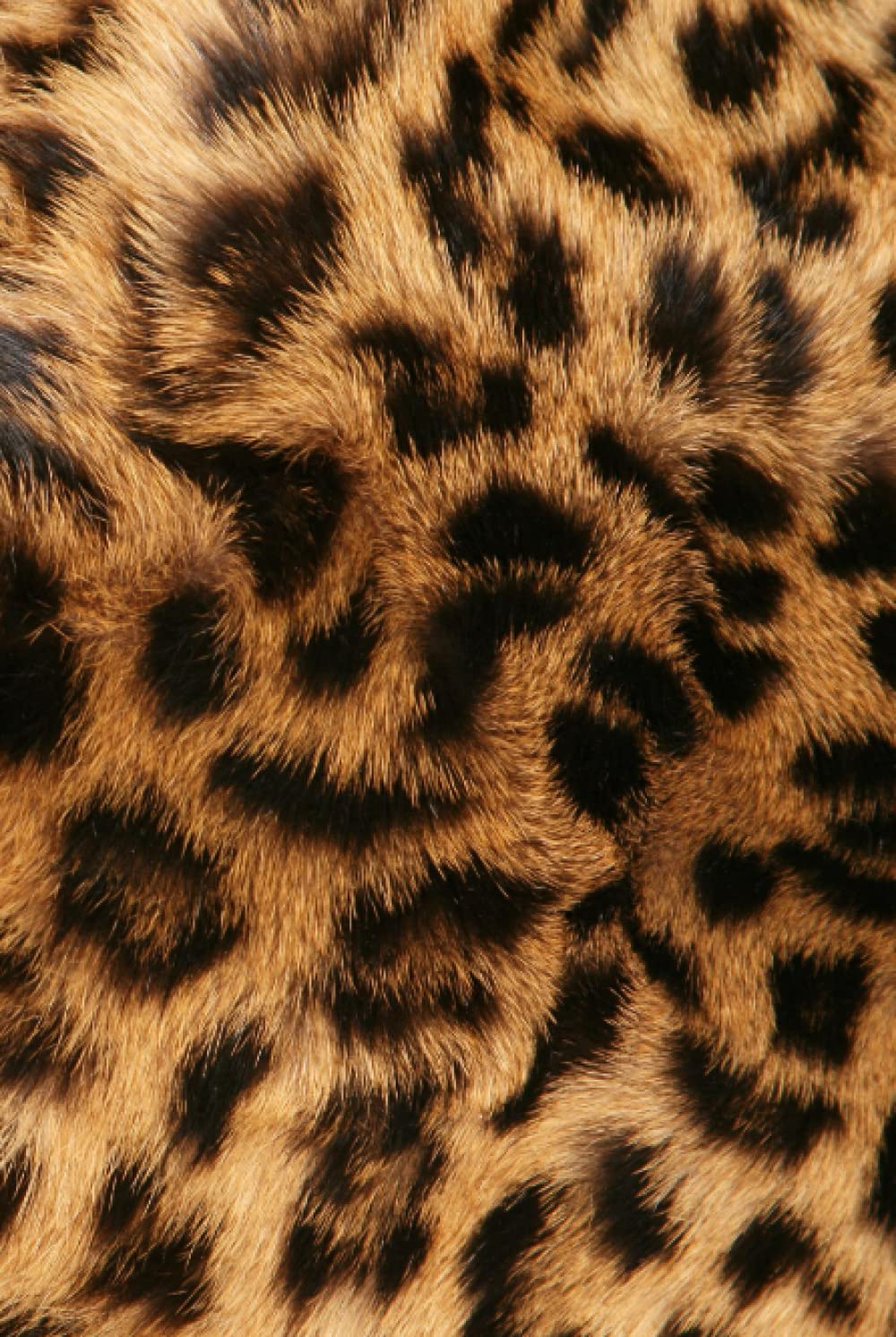 Leopard Print Journal / 75 Page Lined Journal / Note Book Journal (Independently published)
Leopard Print Journal / 75 Page Lined Journal / Note Book Journal (Independently published)