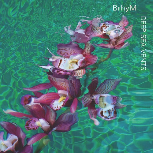 Виниловая пластинка Brhym: Deep Sea Vents
Виниловая пластинка Brhym: Deep Sea Vents