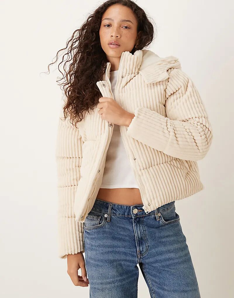 Утепленная куртка Brave Soul Jumbo с капюшоном и вельветом кремового цвета
Утепленная куртка Brave Soul Jumbo с капюшоном и вельветом кремового цвета