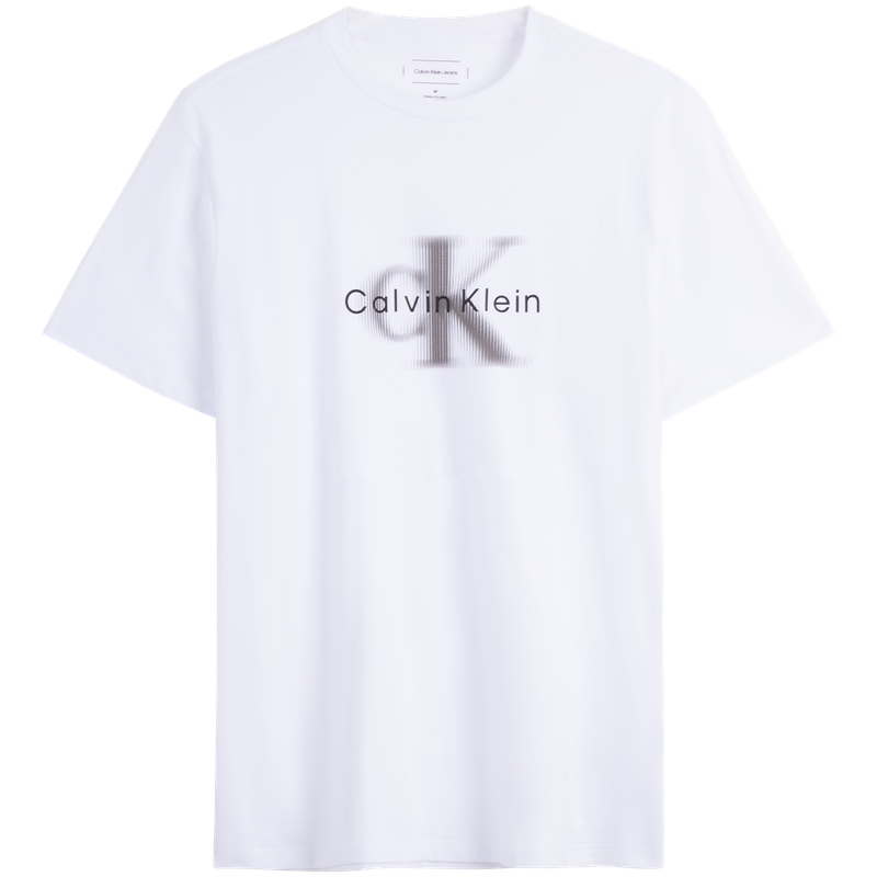 Футболка мужская Calvin Klein, белый
Футболка мужская Calvin Klein, белый