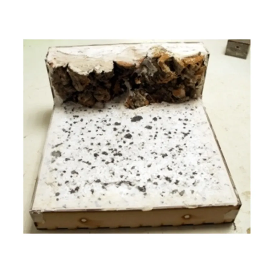 6 дюймов Клифф А — прямой, Terra-Formers
6 дюймов Клифф А — прямой, Terra-Formers