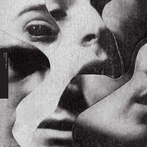 Виниловая пластинка Davies, Daniel - Spies
Виниловая пластинка Davies, Daniel - Spies