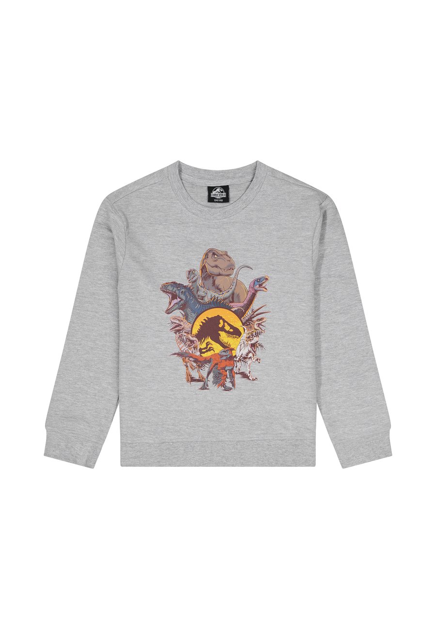 Толстовка Jurassic World JURASSIC WORLD, Grau/Mottled Grey
Толстовка Jurassic World JURASSIC WORLD, Grau/Mottled Grey