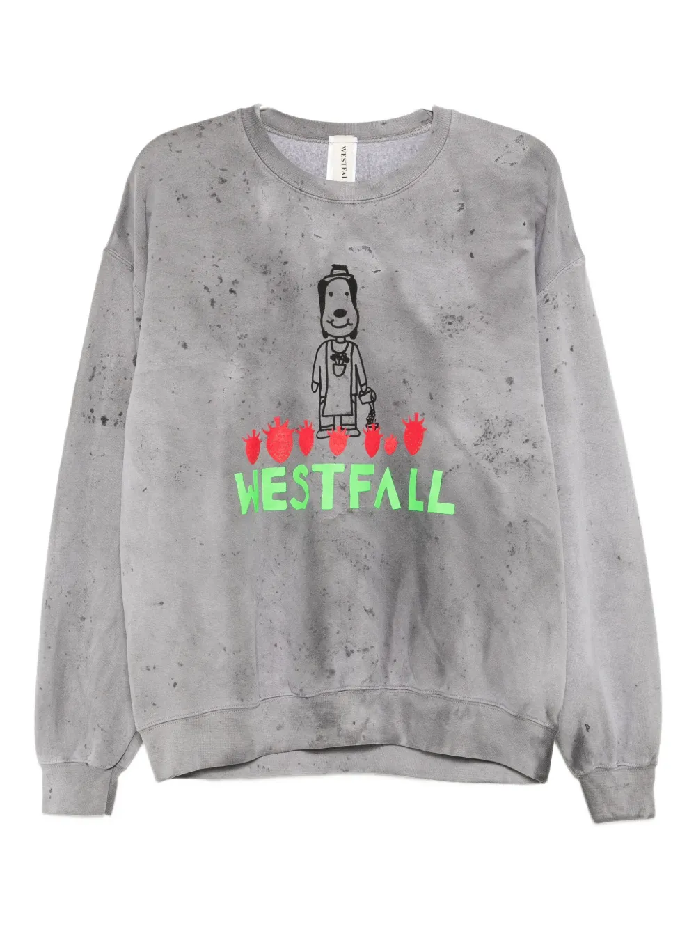 Толстовка с мультяшным принтом WESTFALL, серый
Толстовка с мультяшным принтом WESTFALL, серый
