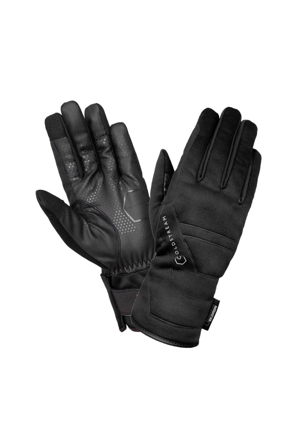 Зимние перчатки Duns StormGuard Coldstream, черный
Зимние перчатки Duns StormGuard Coldstream, черный