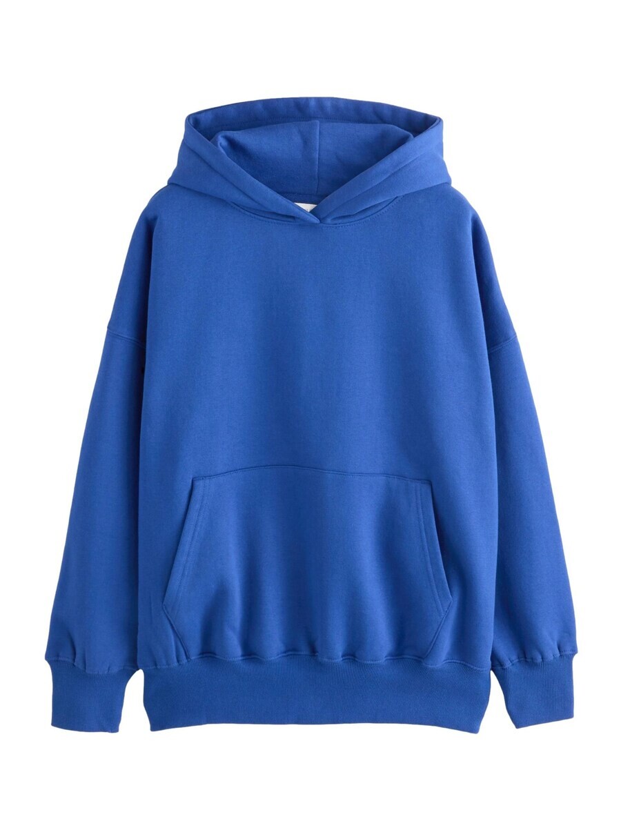 Толстовка с капюшоном Next Sweatshirt, синий
Толстовка с капюшоном Next Sweatshirt, синий