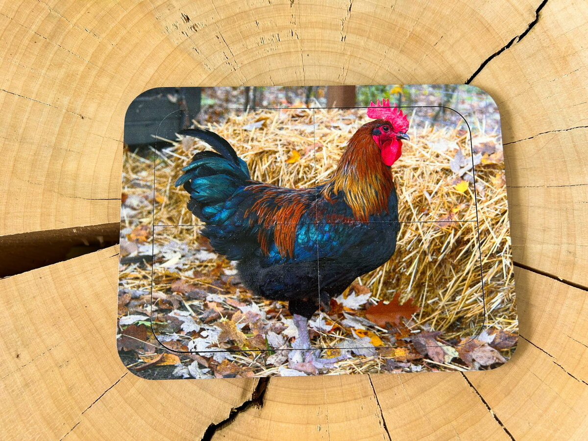 Петух, деревянный пазл с четырьмя элементами, основа с подписью, первый пазл Inna marka
Петух, деревянный пазл с четырьмя элементами, основа с подписью, первый пазл Inna marka