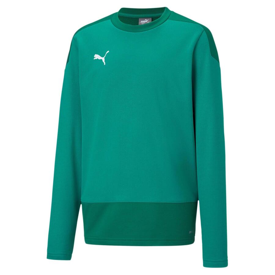 Детская толстовка Puma teamGOAL 23 Training Sweat Jr 656568
Детская толстовка Puma teamGOAL 23 Training Sweat Jr 656568