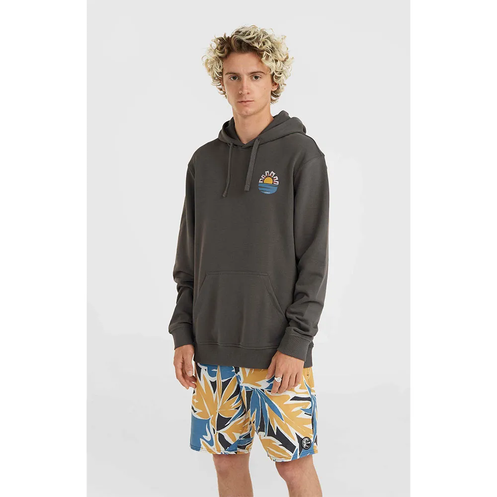 Худи O´neill Og Sun, серый
Худи O´neill Og Sun, серый