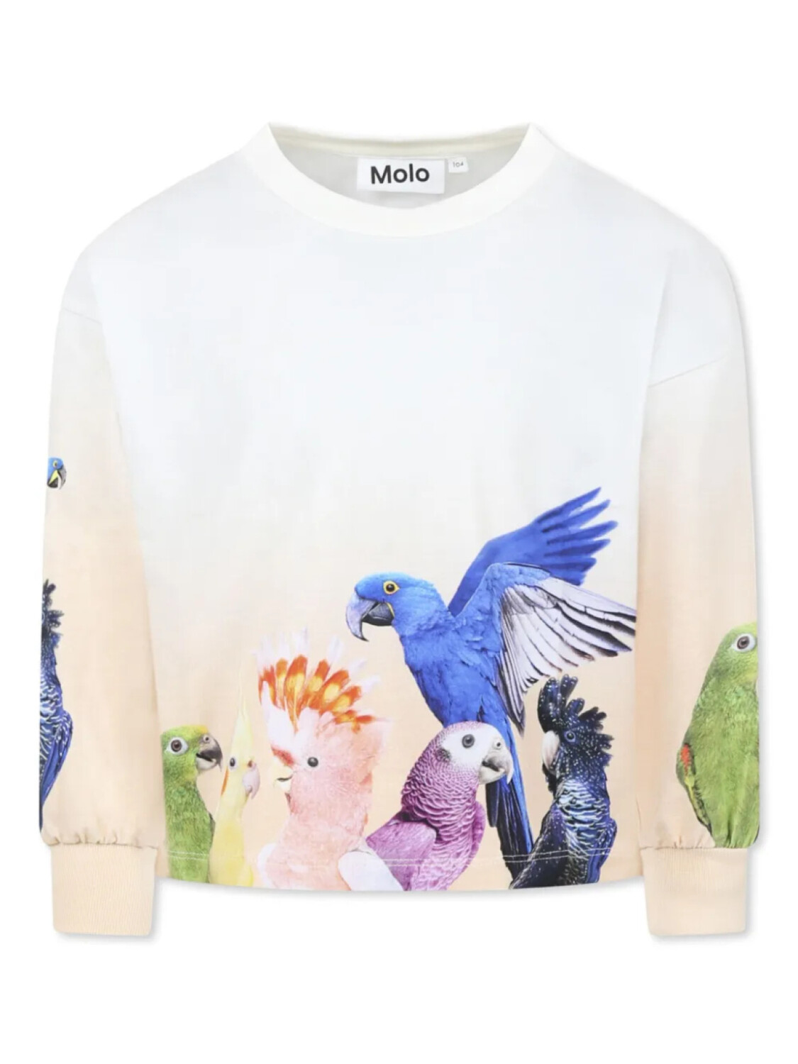 Толстовка с графическим принтом Molo, белый
Толстовка с графическим принтом Molo, белый