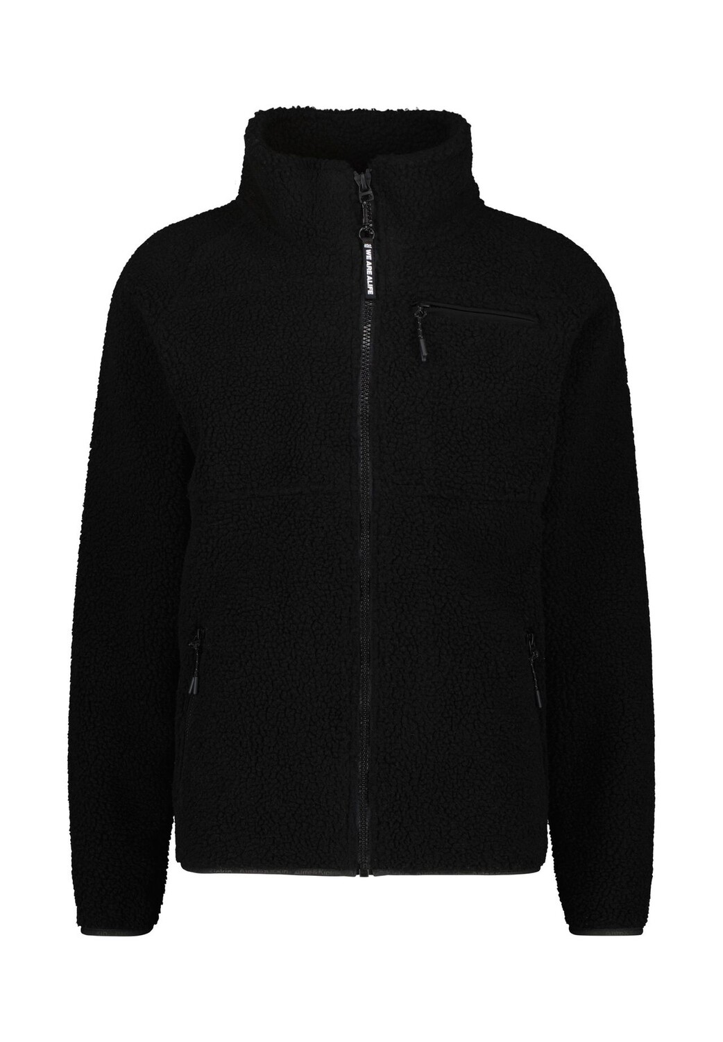 Roc Куртка Тедди AK G ALIFE AND KICKIN, цвет Moonless
Roc Куртка Тедди AK G ALIFE AND KICKIN, цвет Moonless