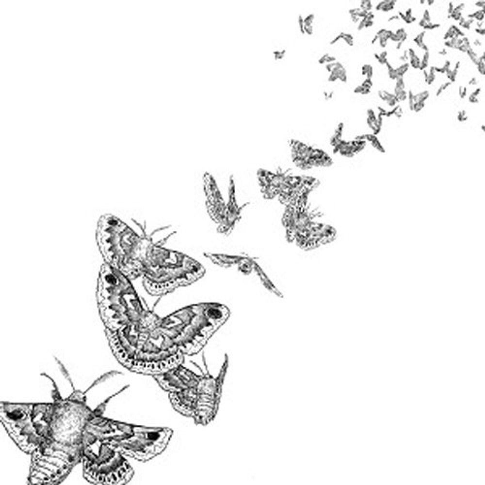 Диск CD Everything Dies - Des Ark
Диск CD Everything Dies - Des Ark