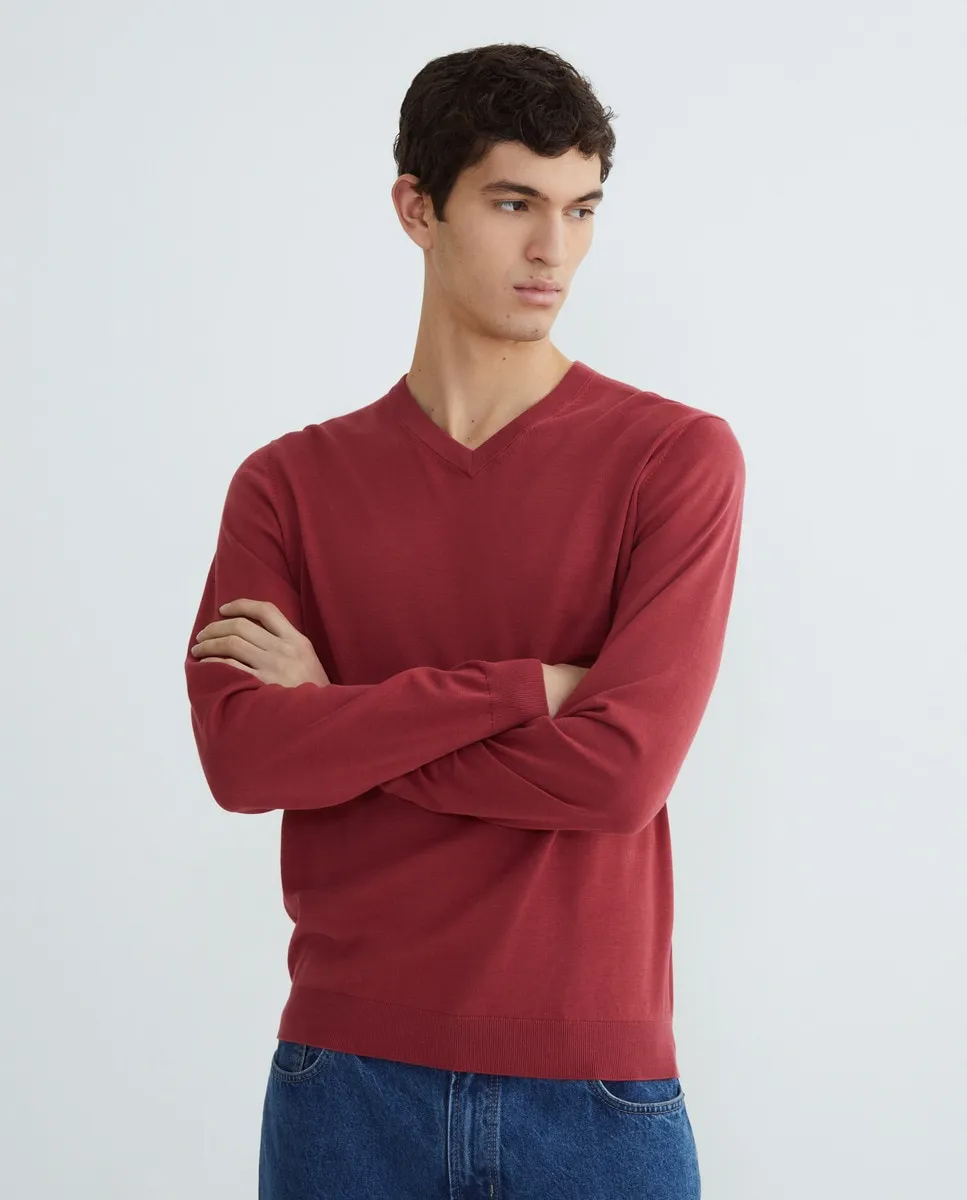 Мужской однотонный свитер с V-образным вырезом Alan Paine, розовый
Мужской однотонный свитер с V-образным вырезом Alan Paine, розовый