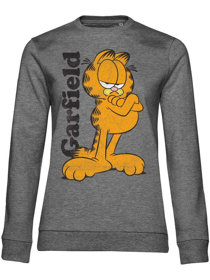 Свитер серого цвета Garfield
Свитер серого цвета Garfield