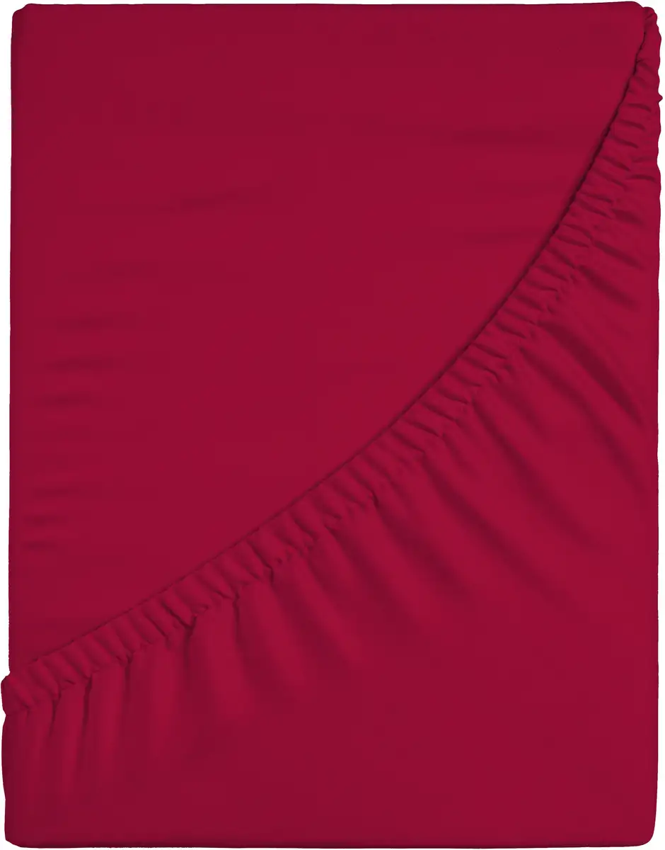 Простыня CASATEX "Джерси-Эластан" с эластаном 140-160х200-220 см, 1 шт., красный
Простыня CASATEX "Джерси-Эластан" с эластаном 140-160х200-220 см, 1 шт., красный