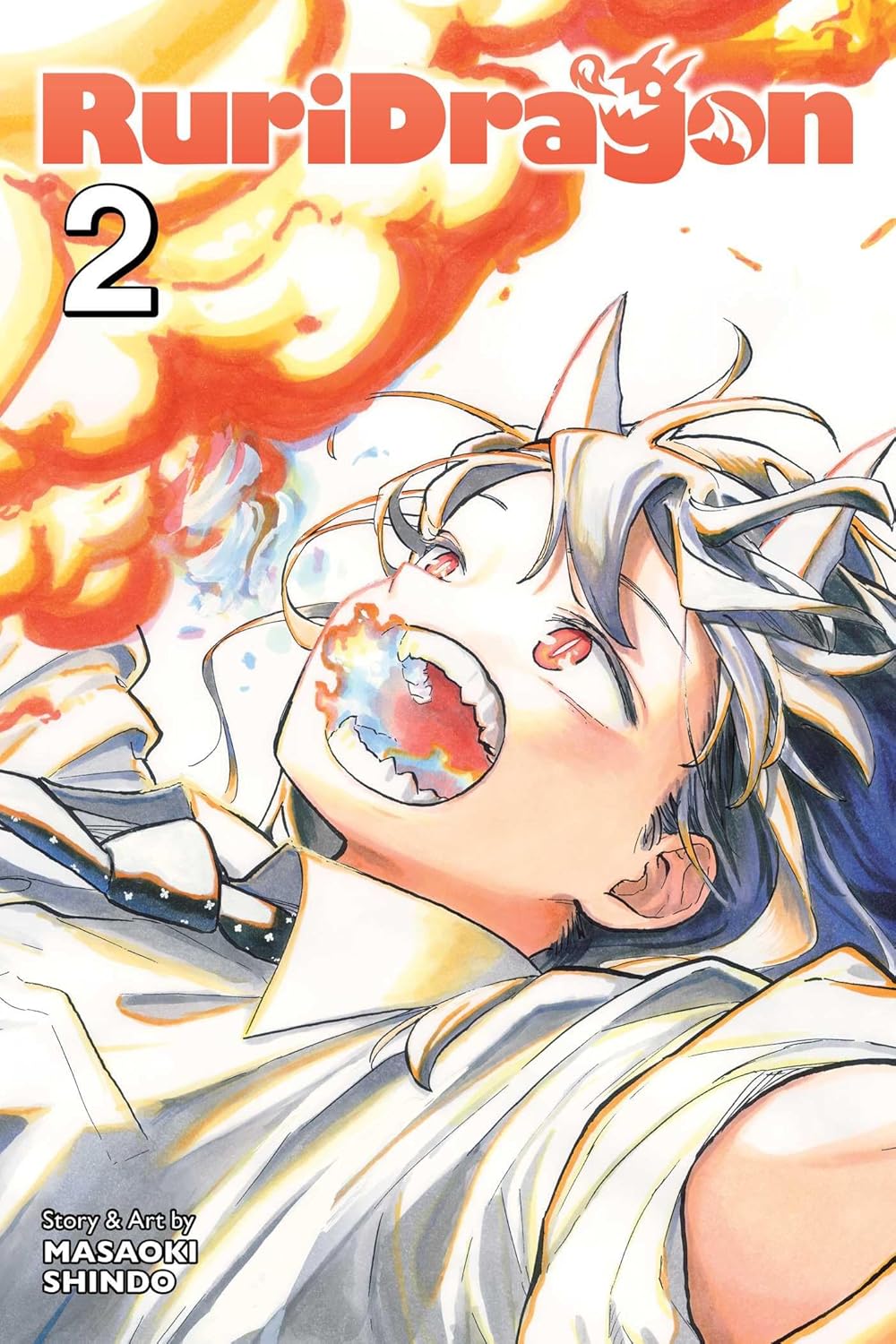 RuriDragon, Vol. 2
RuriDragon, Vol. 2