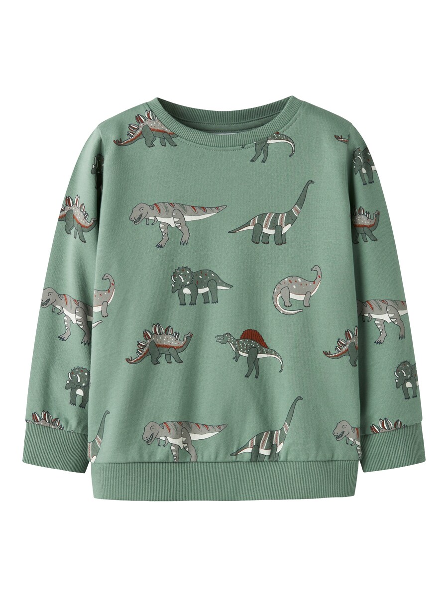 Толстовка NAME IT NMMNenean, зеленый
Толстовка NAME IT NMMNenean, зеленый