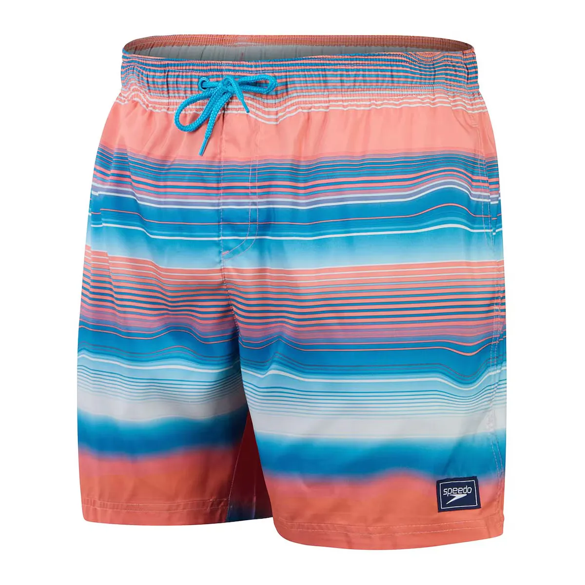 Бермуды мужские Placement Leisure 16" Watershort Speedo, мультиколор
Бермуды мужские Placement Leisure 16" Watershort Speedo, мультиколор
