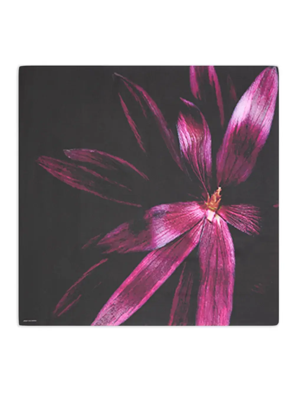 Шелковый платок с цветочным принтом DRIES VAN NOTEN, черный
Шелковый платок с цветочным принтом DRIES VAN NOTEN, черный