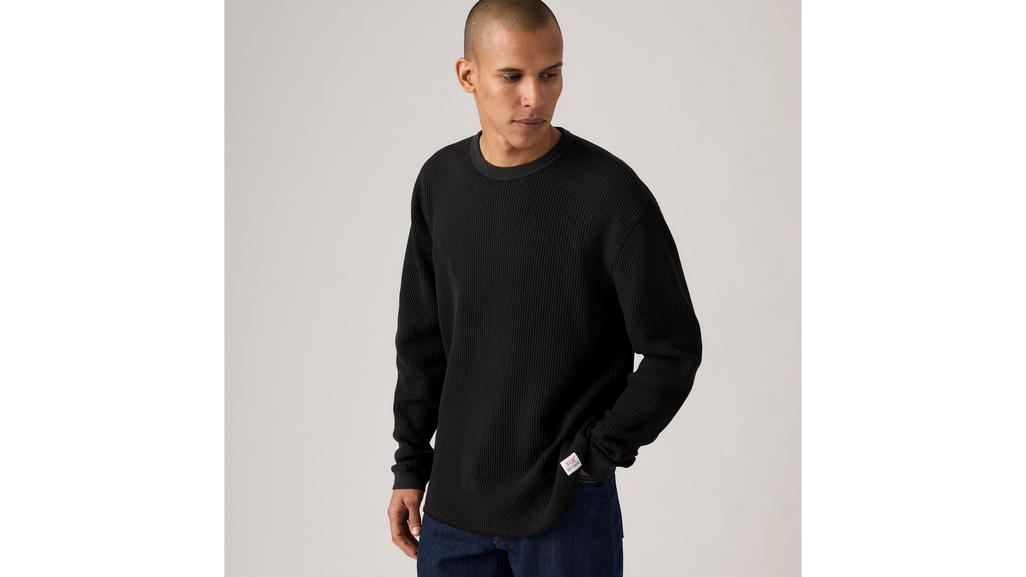 Свободная терморубашка с длинными рукавами Levi's, Mineral Black Garment Dye - Black
Свободная терморубашка с длинными рукавами Levi's, Mineral Black Garment Dye - Black