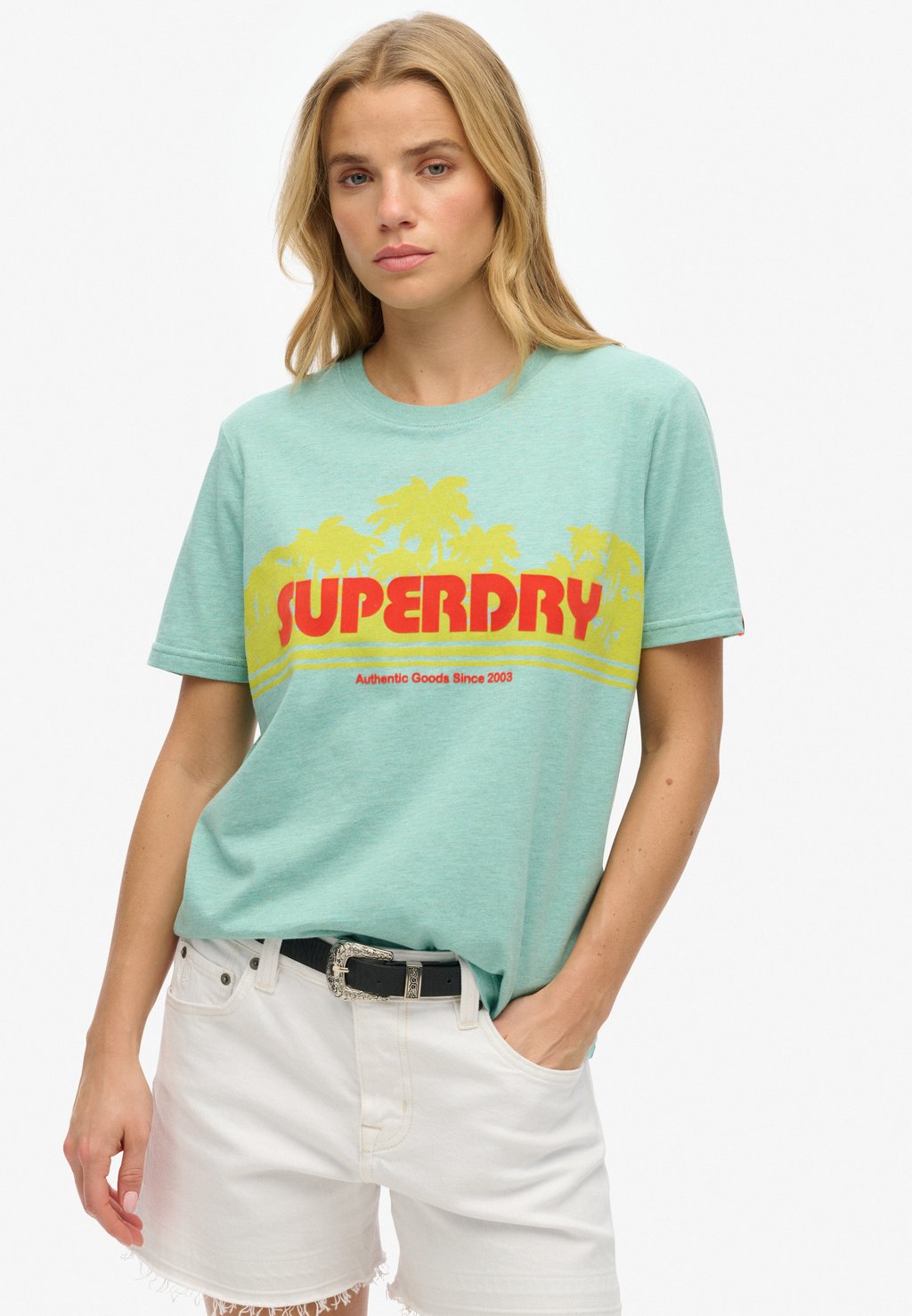 Футболка с принтом RELAXED Superdry, зеленый
Футболка с принтом RELAXED Superdry, зеленый