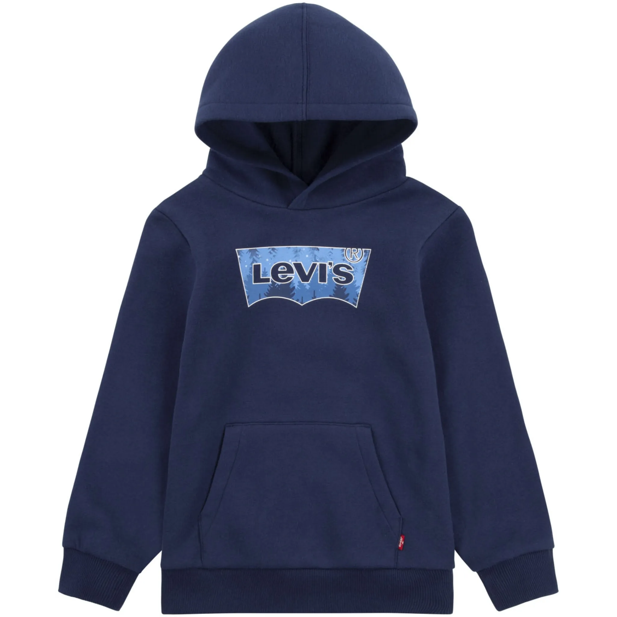 Детская толстовка Levi's «BATWING HOODIE», для МАЛЬЧИКОВ Levi'S Kids, цвет naval academy
Детская толстовка Levi's «BATWING HOODIE», для МАЛЬЧИКОВ Levi'S Kids, цвет naval academy