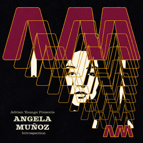 CD диск Munoz, Angela: Introspection
CD диск Munoz, Angela: Introspection
