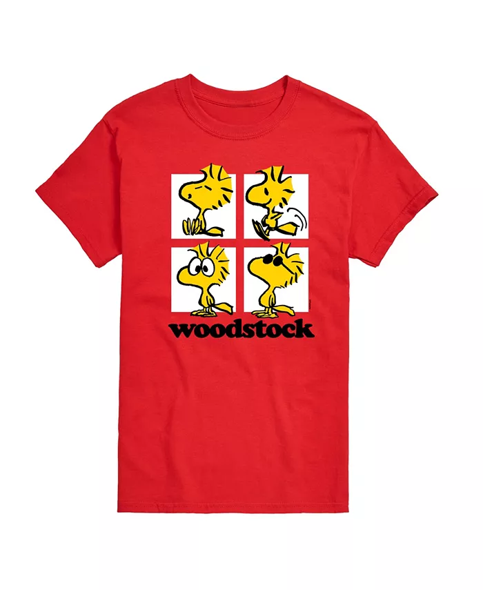 Мужская футболка с коротким рукавом Peanuts Woodstock AIRWAVES, красный
Мужская футболка с коротким рукавом Peanuts Woodstock AIRWAVES, красный