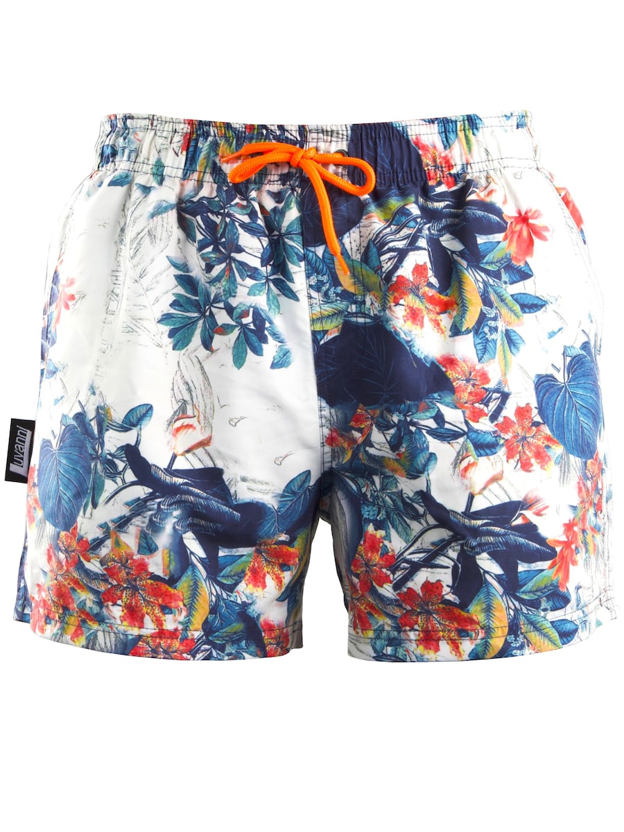 Шорты для серфинга Luvanni Boardshorts Style 29 Dschungel, синий
Шорты для серфинга Luvanni Boardshorts Style 29 Dschungel, синий