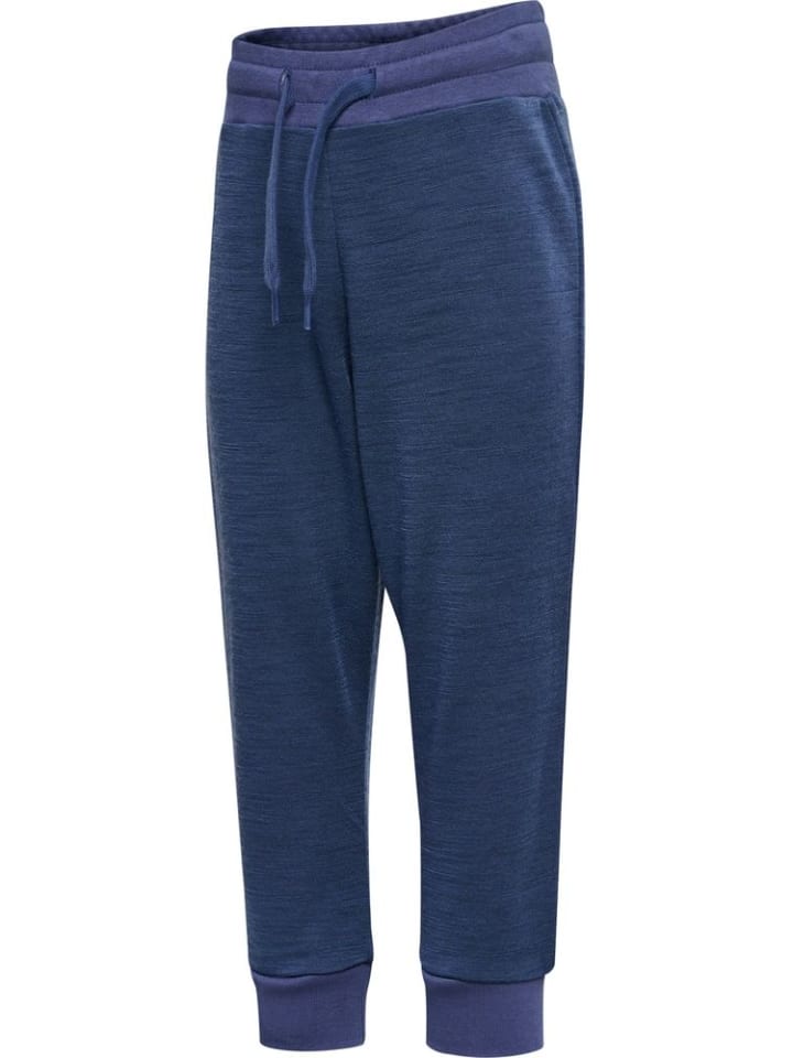 Hummel Детские спортивные штаны "Hmlmini Wool Pants" синего цвета
Hummel Детские спортивные штаны "Hmlmini Wool Pants" синего цвета