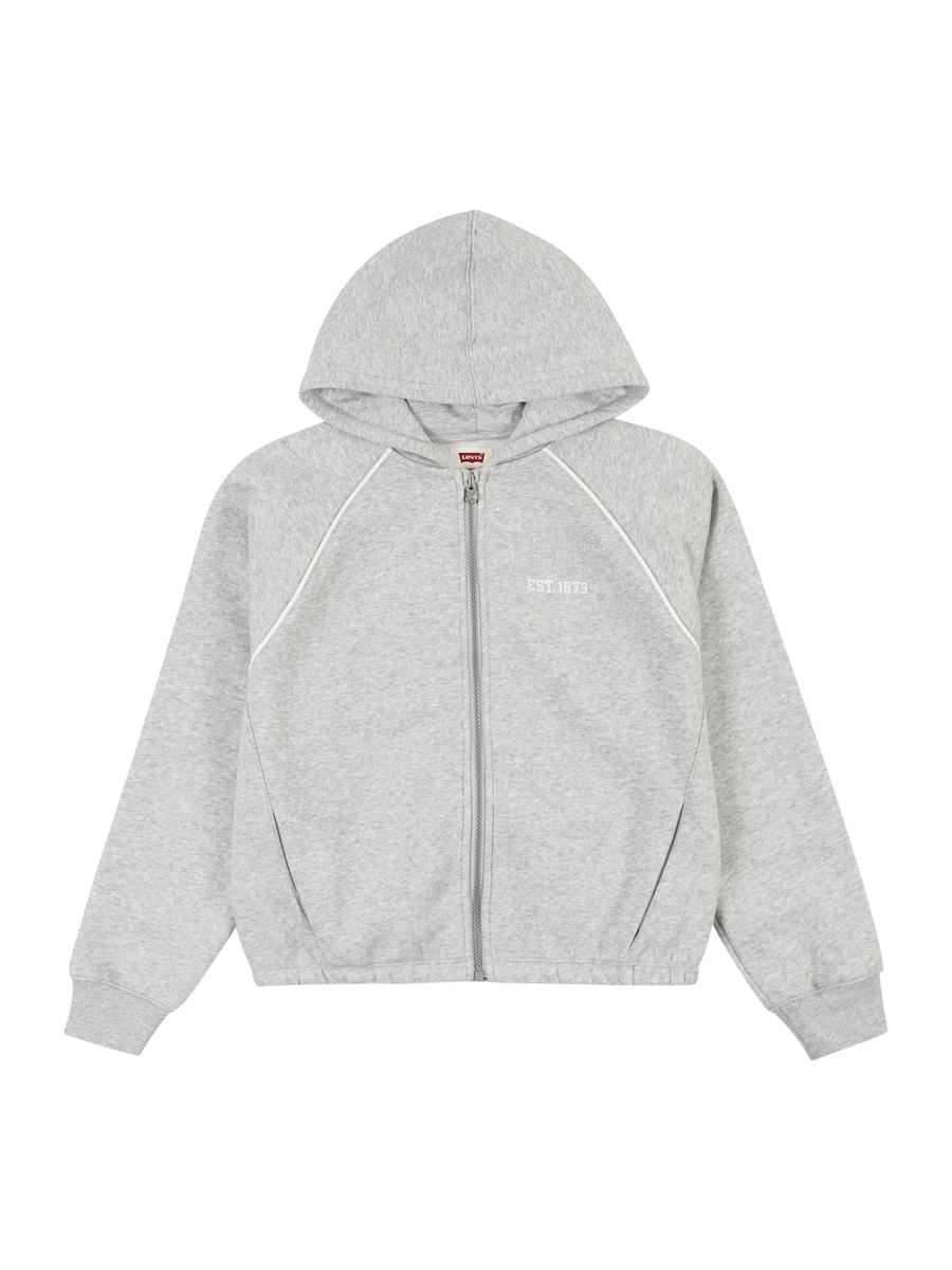 Толстовка с капюшоном на молнии Levi's Kids MEET AND GREET, серый
Толстовка с капюшоном на молнии Levi's Kids MEET AND GREET, серый