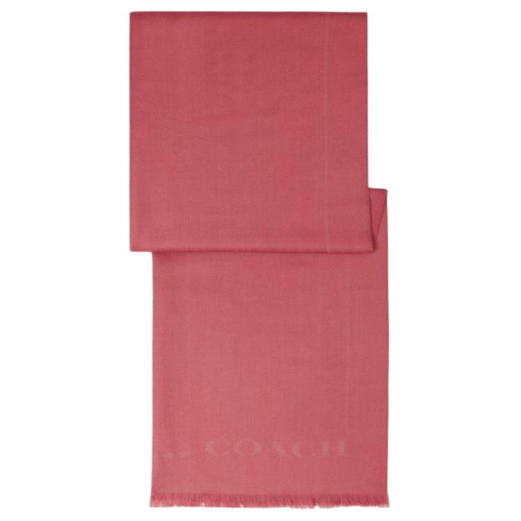 Шерстяной вязаный шарф унисекс Rouge COACH
Шерстяной вязаный шарф унисекс Rouge COACH