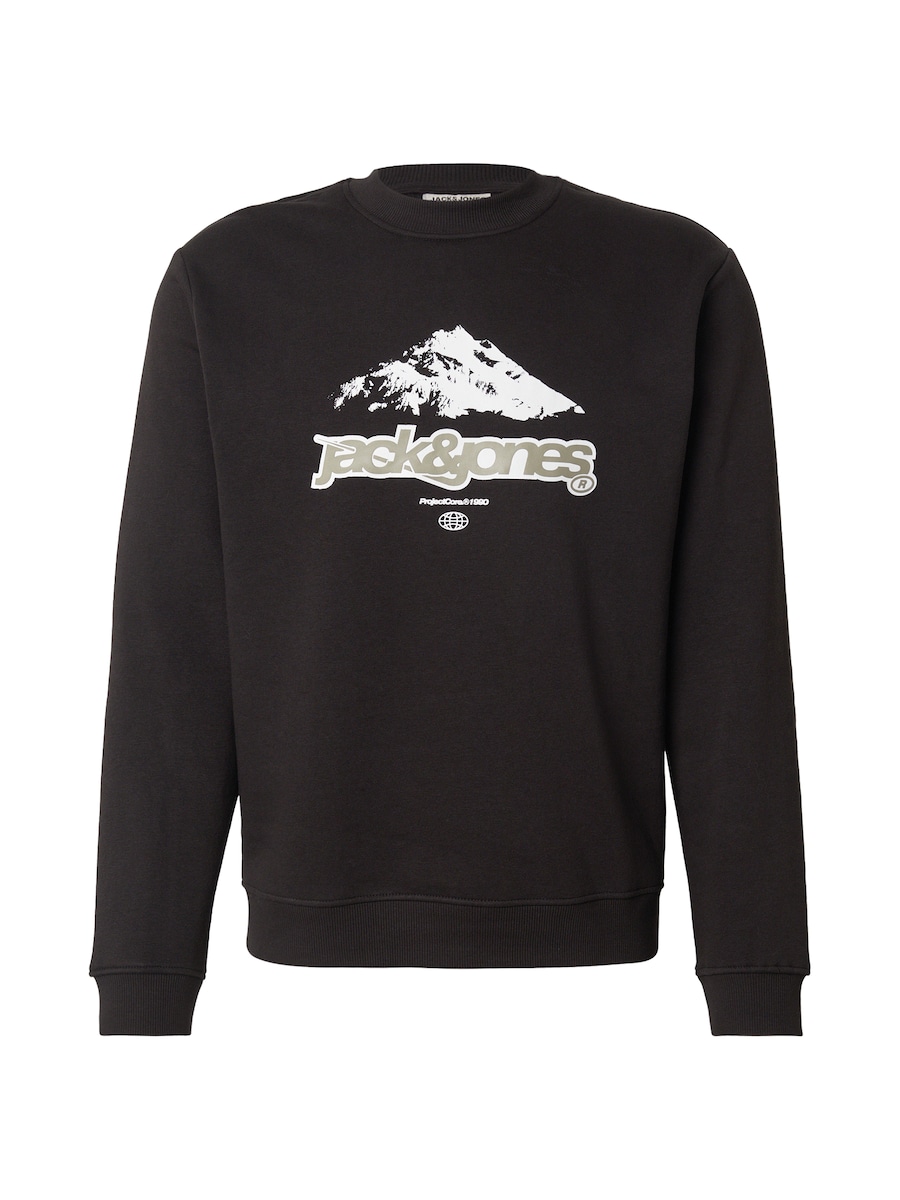 Толстовка JACK & JONES JCOFLARE, черный
Толстовка JACK & JONES JCOFLARE, черный