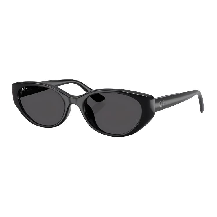 RayBan Биоразлагаемые солнцезащитные очки, Black
RayBan Биоразлагаемые солнцезащитные очки, Black