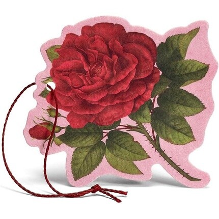 L'Erbolario Pink PURPUREA Многофункциональный ароматизированный цветок
L'Erbolario Pink PURPUREA Многофункциональный ароматизированный цветок