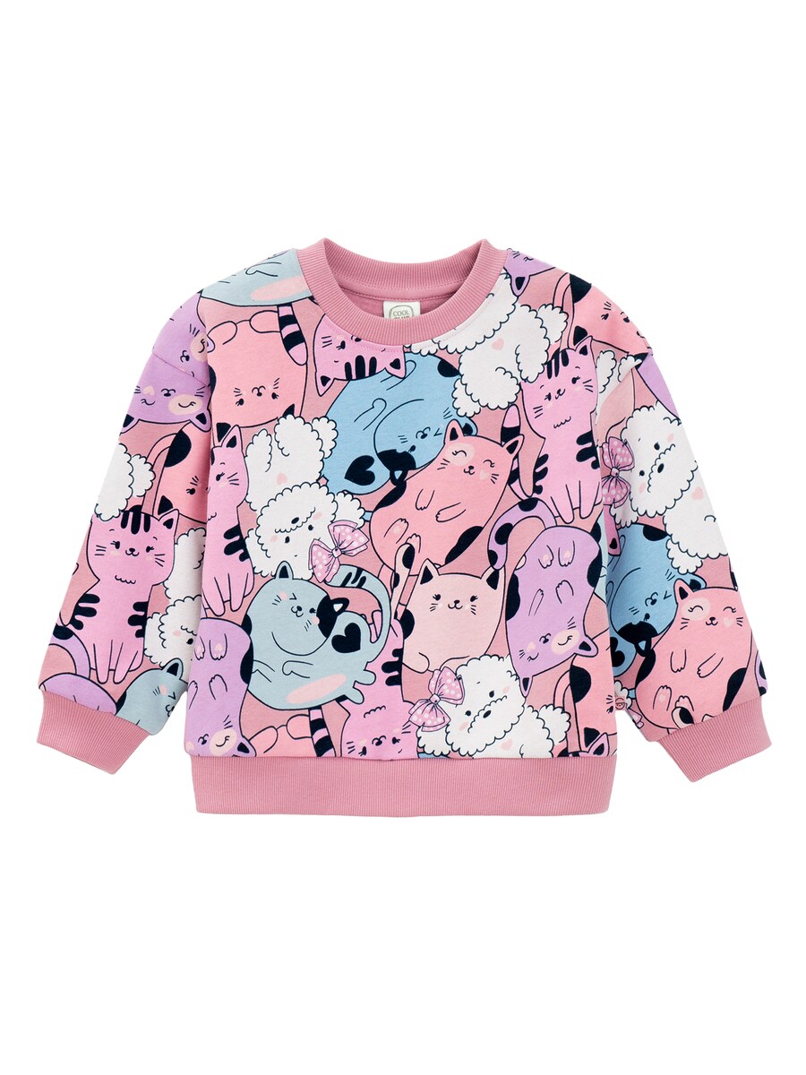 Толстовка Cool Club, Pitaya
Толстовка Cool Club, Pitaya