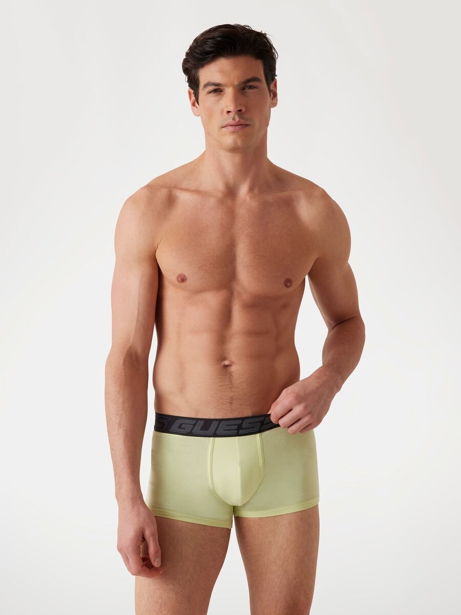 Боксеры GUESS, цвет Kiwi/Black
Боксеры GUESS, цвет Kiwi/Black