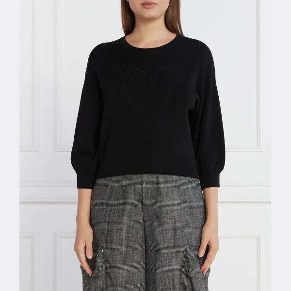 Толстовка Erebia стандартного кроя Pinko, черный
Толстовка Erebia стандартного кроя Pinko, черный