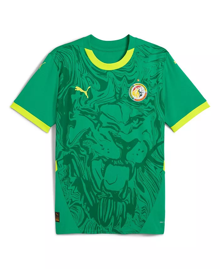 Мужская зеленая реплика футболки сборной Сенегала на выезд 2025 года Puma
Мужская зеленая реплика футболки сборной Сенегала на выезд 2025 года Puma
