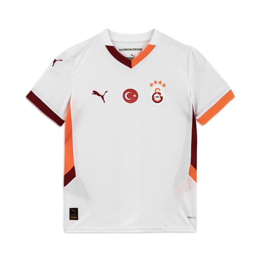 Спортивная футболка PUMA Performance Galatasaray SK 24/25, белый
Спортивная футболка PUMA Performance Galatasaray SK 24/25, белый