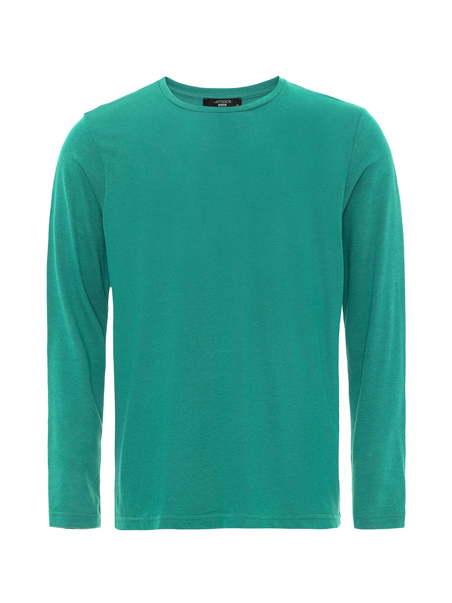 Свитер Antioch, зеленый
Свитер Antioch, зеленый