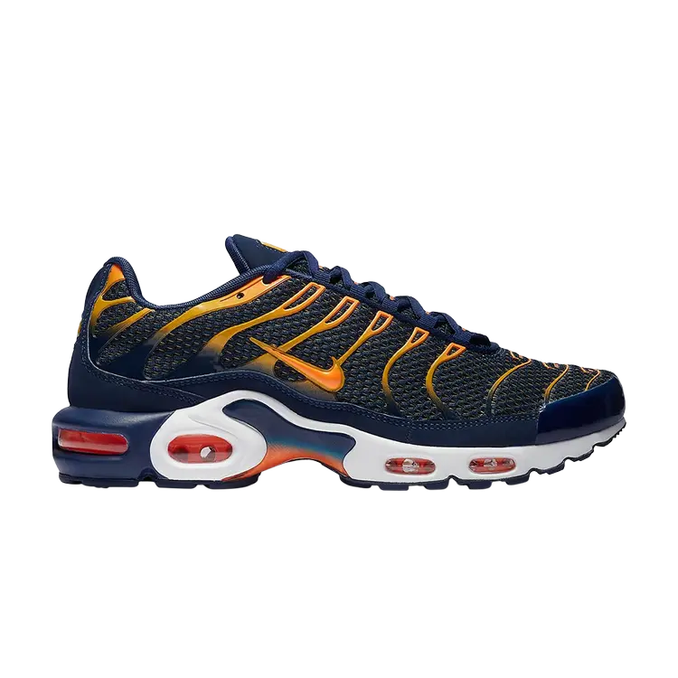 Кроссовки Nike Air Max Plus 'Blue Void', синий 
Кроссовки Nike Air Max Plus 'Blue Void', синий