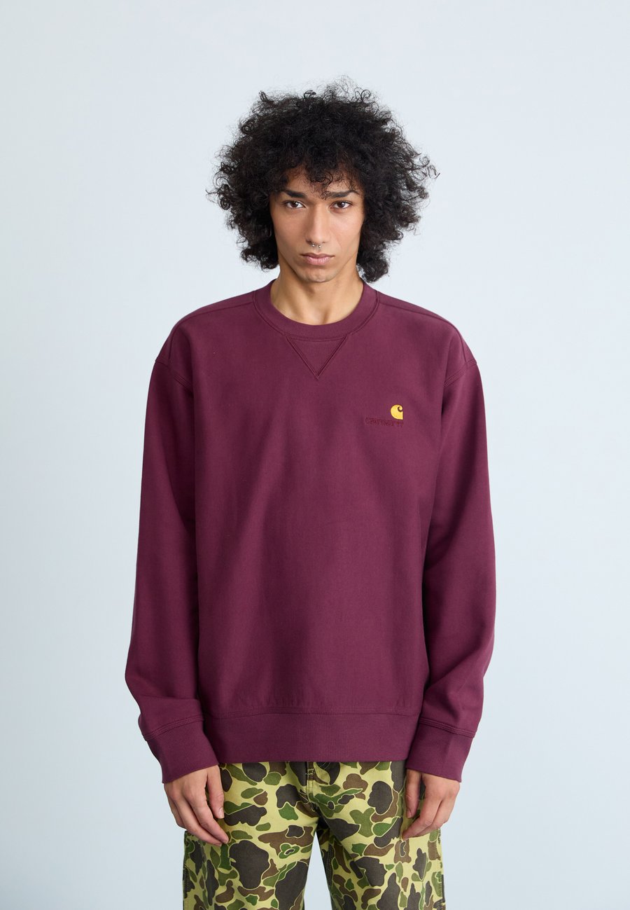 Толстовка Carhartt WIP AMERICAN SCRIPT, Rondo/Dark Red
Толстовка Carhartt WIP AMERICAN SCRIPT, Rondo/Dark Red