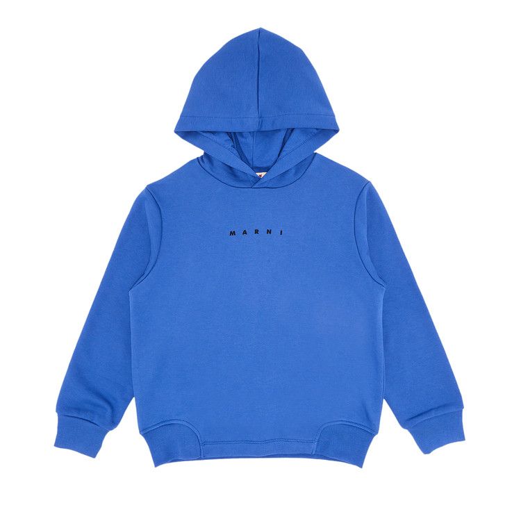 Толстовка Marni Kids Unbrushed Fleece Sweatshirt, Blue
Толстовка Marni Kids Unbrushed Fleece Sweatshirt, Blue