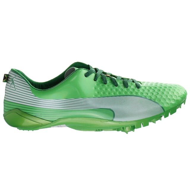 Зеленые мужские беговые кроссовки Bolt Faas 007 ltd Puma, зеленый
Зеленые мужские беговые кроссовки Bolt Faas 007 ltd Puma, зеленый